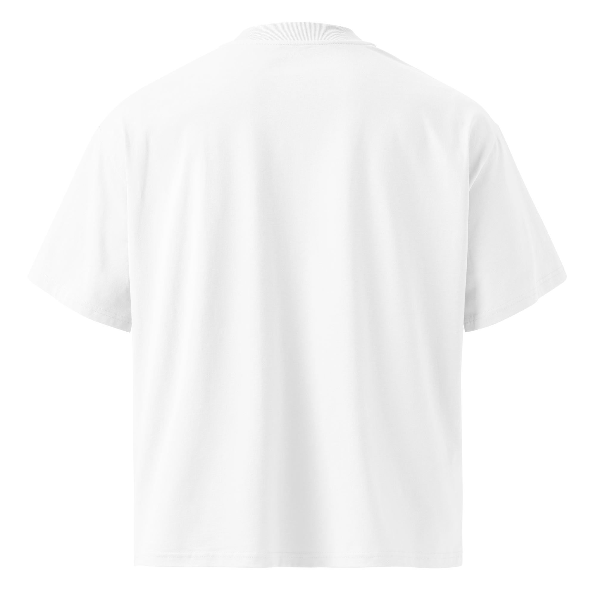 unisex-organic-oversized-high-neck-t-shirt-white-back-698876a5e23f3.png